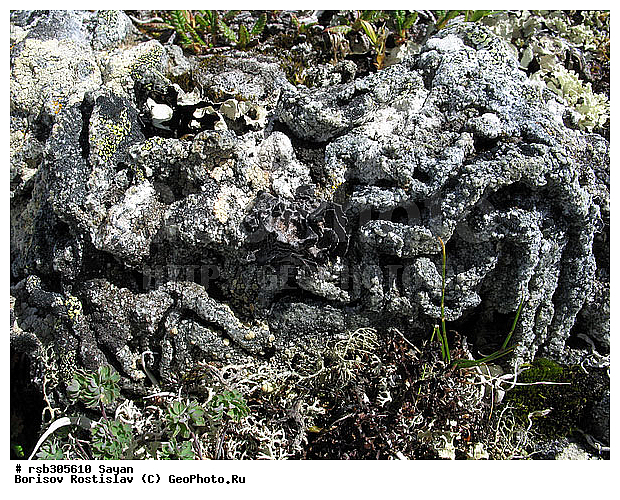 ��������� ����, �����, ��������� ����, ����