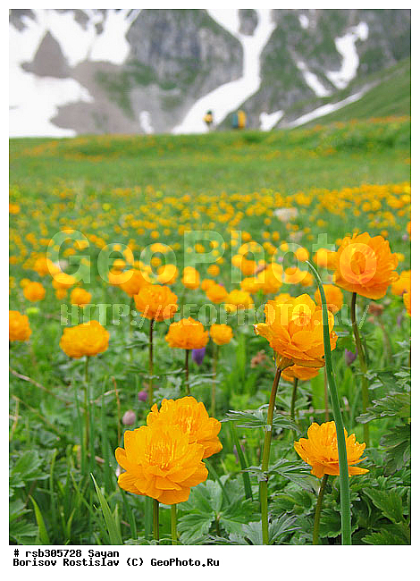 ��������� ����, ���������� ��������, ����, �����, ������ ������, ����, �����, ������, �����, ����� �� ���� ���