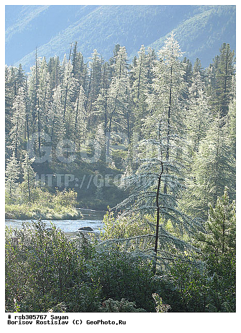 ��������� ����, ����, �����, ������ ������, �����������, ������, ����, ���� �����-���