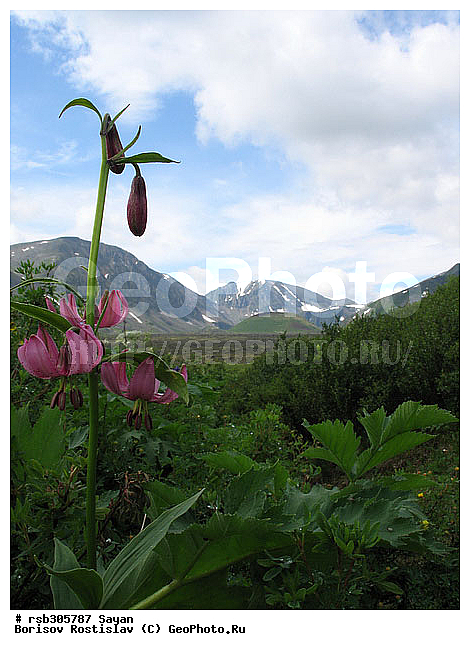 ��������� ����, ����� �������, ����, �����, ������ ����������, ������ ������, ����, ������ ��������, ������� ����, �����, ����� �������, ������, ������