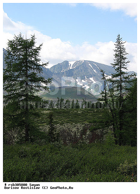 ��������� ����, ����, �����, ������, ������ ����������, ������ ������, ����, ������ ��������, ������� ����, �����������, ������