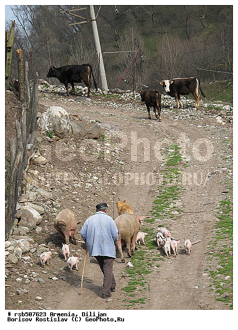 ����������� ��������, ������, ������, ������