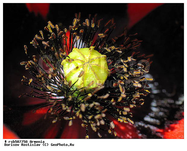 ���, �����, ������