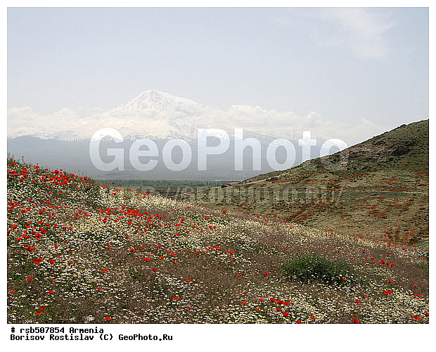 ������, �������, ���-�����, ������ ������, ����, ������