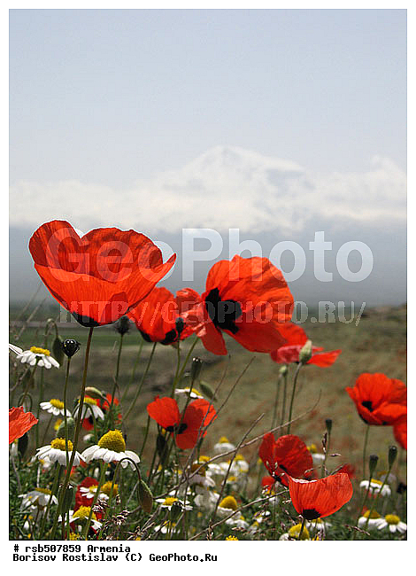 ������, �������, ���-�����, ������ ������, ����, ����� ������, ������