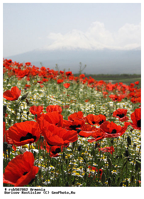 ������, �������, ���-�����, ������ ������, ����, ����� ������, ������