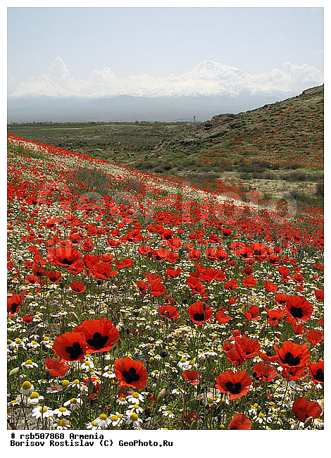 ������, �������, ���-�����, ����, ������ ������, ����, ���� �� ���� �������, ������