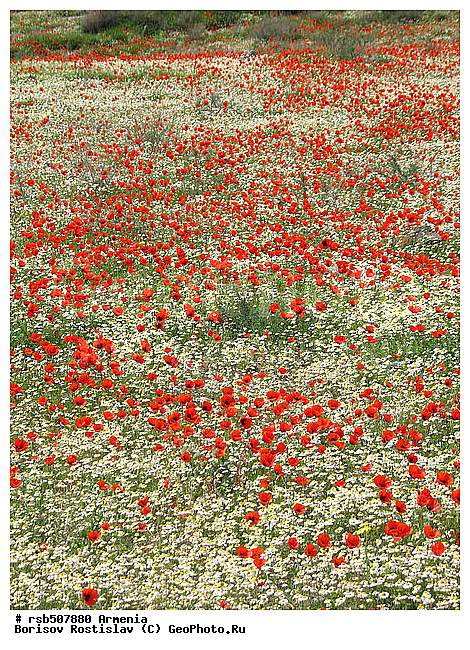 �������, ����, ��������� ���-�����, ������, �������