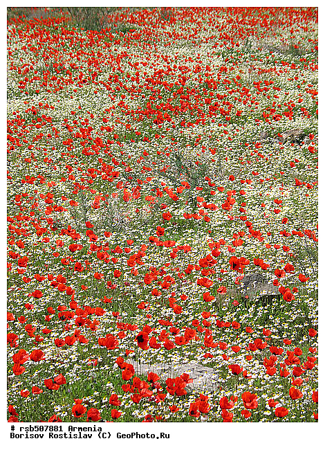 �������, ����, ��������� ���-�����, ������, �������