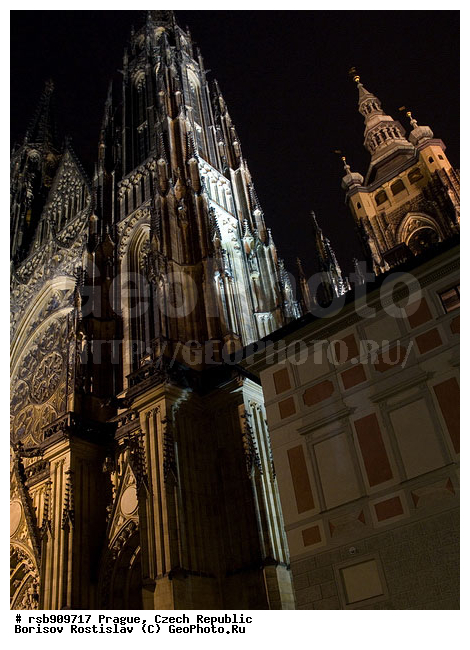 �����, ����� ������� ����, �����, �����