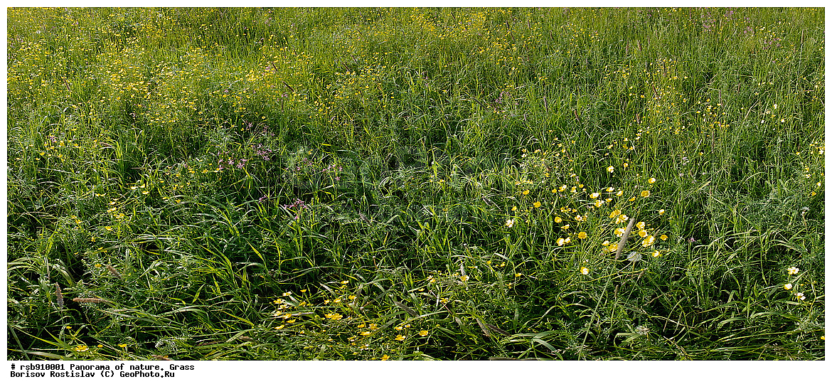 ��������, �������, �����