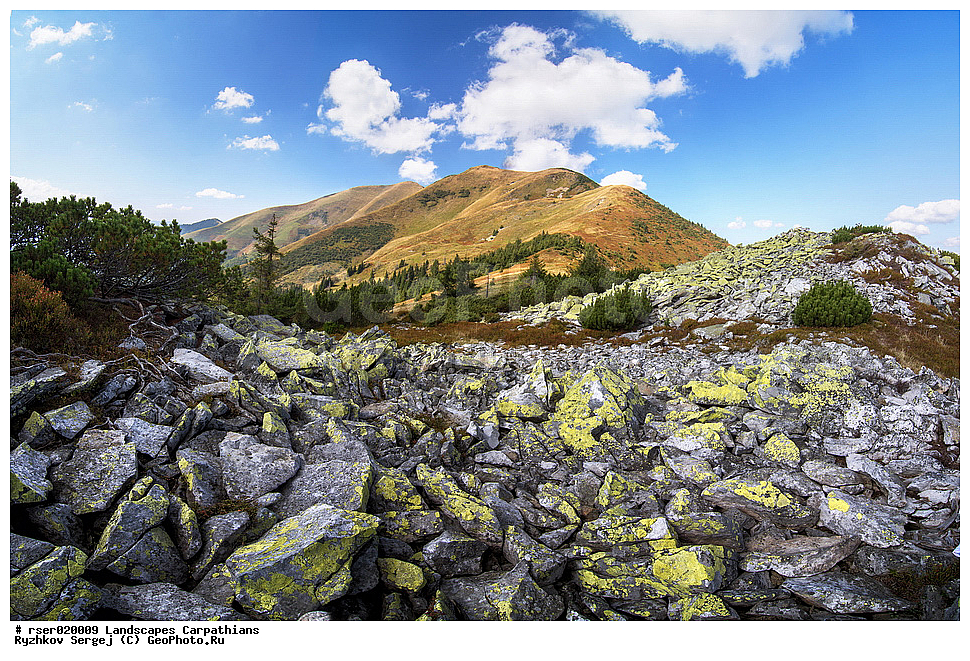  �������, ����, ������, ����������, �����, ���������� ����, �������, ������������ ����, ������������ ���� �������, ������, �������, �������, ��������� ������, �������, ������, ������ �������