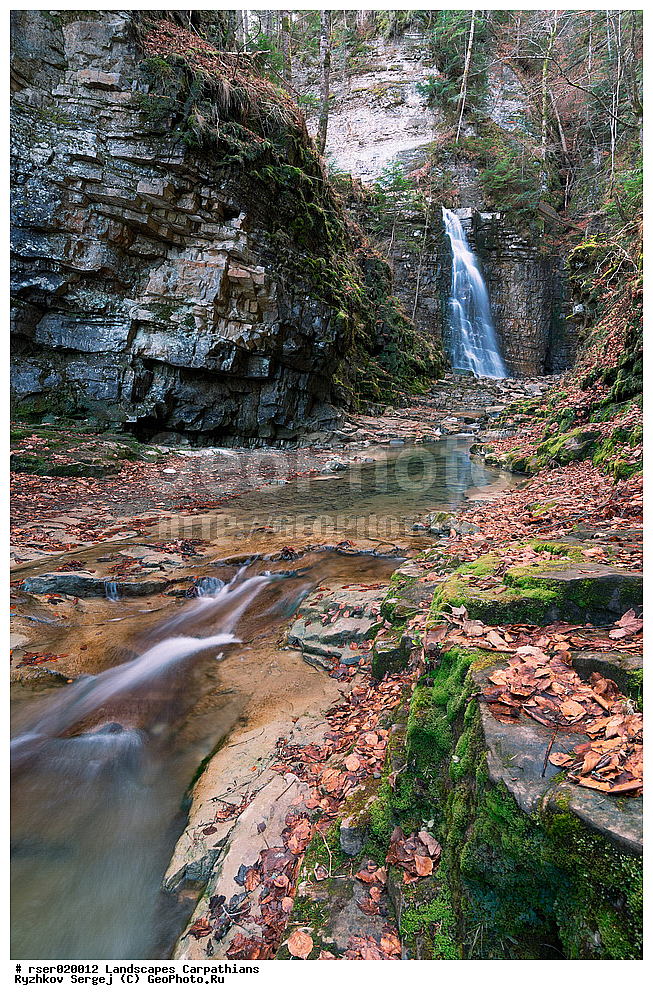  ������������, ����, �������, ������ ����, ����, �����-����������� �������, �����, �������, �������, ���, ������, ��������� �������, �����, �������� �������, ������, �������, ��������� ������, ����, �������, �������, ������