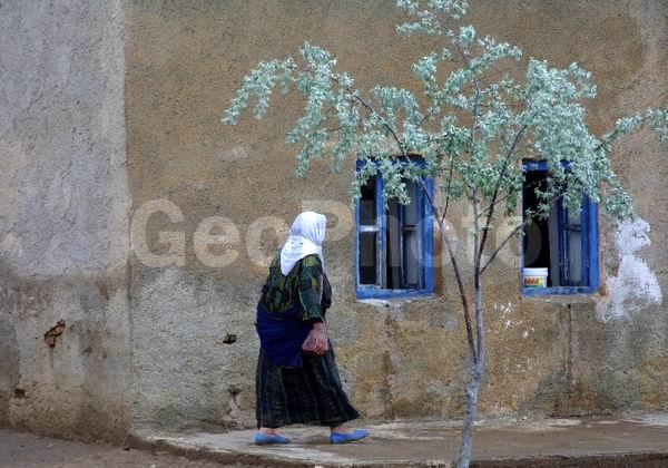 ������, ������