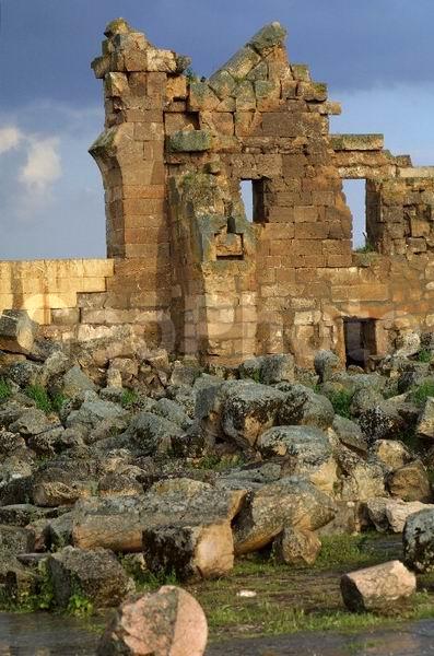 ������, ������