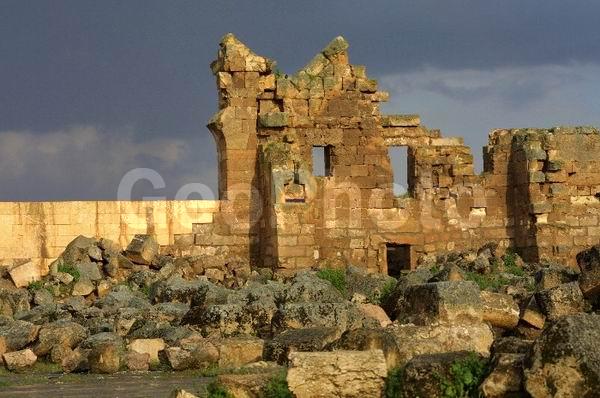 ������, ������