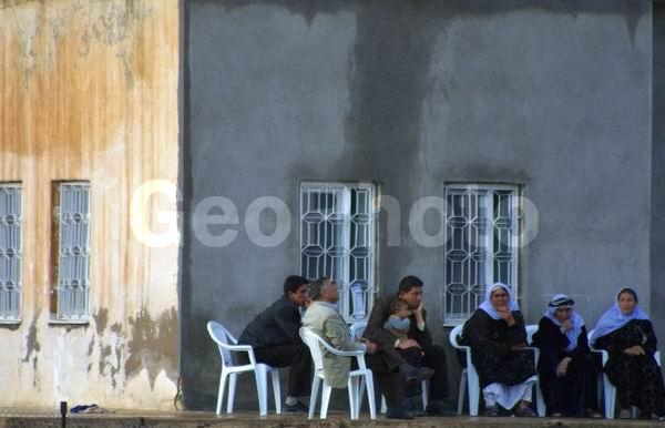 ������, ������