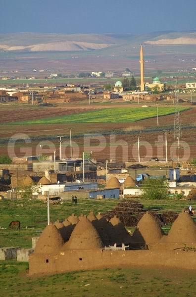 ������, ������