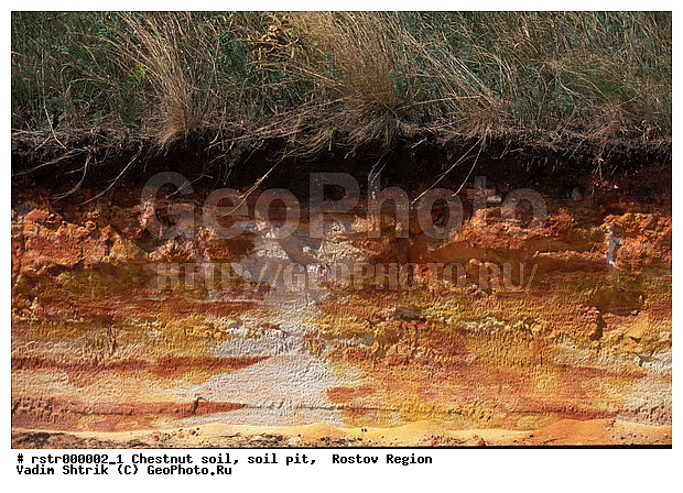 ������, ���������� �����, �����������, �����, ��������� ������, ������������, ����, �����, �������, �����