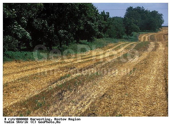 ���������� �������, �����, �������, ������, ������, ����