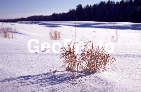 ������, �������� �������, ����� ���������, ����������, ����, ������ ����, ���, ����, ����, ����� �����, ����, ���������� �������