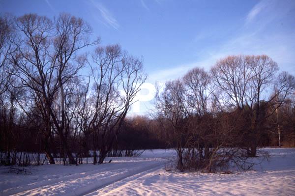 ������, �������� �������, ����������, ����, ���, ����, ������, ����, ����, ���������� �������