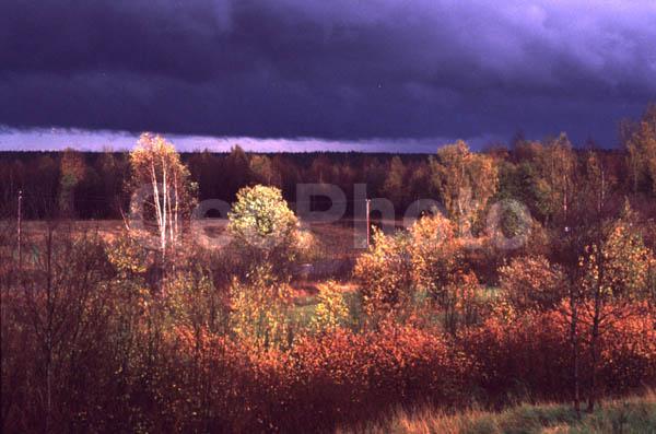 ���������� �������, ������, �����, �����, �����, ������, ���, ������, ���������, �����, ����� ������, ������ � �����, ����, ���������� �������