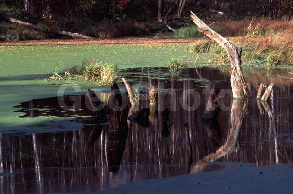 ���������� �������, ������, �����, ������ �����������, ������, ���, ����, �����, ���������, �������, �����, ���������� �������