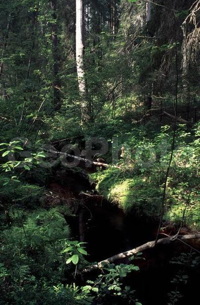 ������ �����, ���������� �������, ������, ������, ������, ���, ����, ��������, �����, ���������� �������