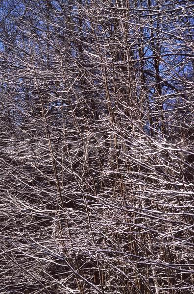 ����� � �����, ������, �������� �������, �����, �����������, ����, ���, ����, ����, ���������� �������