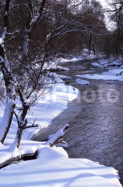 ���������� �������, ������, �����, �����, ����������, ����, ���, ����, ����, ����, �������, ���������� �������