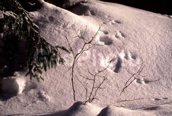 ���������� �������, ������, ����� �����, �����������, ����, ����, ���, ����� �����, ����, ���������� �������