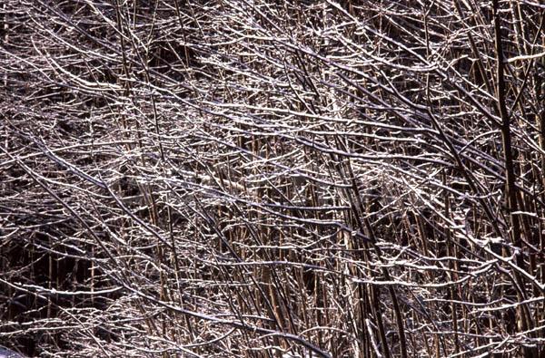 ������, �������� �������, �����, �����������, ����, ���, ����, ���������� �������