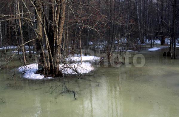 ���������� �������, ������, �����, ���, �������, ���������, ������� ����, ����, ����, ������, ���������� �������