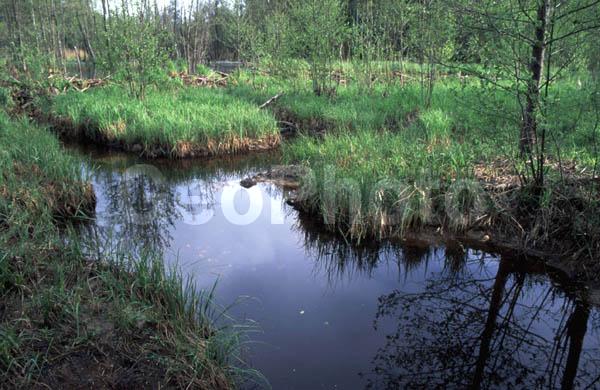 ���������� �������, ������, ������, �����, �����, ���, �����, �����, ���������� �������