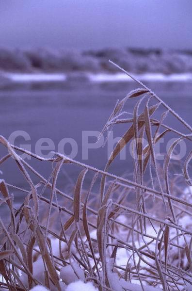 ������, �������� �������, ��������� �����, ����������, ����, ���, ����, ������� �����, ����, ����, �����, ���������� �������