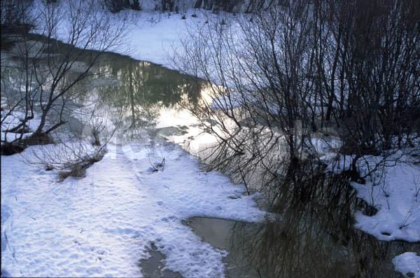 ������, �������� �������, �����, �����������, ����������, �����, ���, ����, ������� �����, ����, ����, ���������� �������