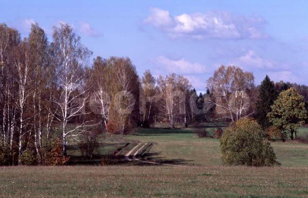 ���������� �������, ������, ��������, ������, ��������, ���, ����, ������, ����, ��������, ����������� ������, ����, ����, ���������� �������