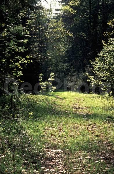 ���������� �������, ������, ���, ����, ���������, �����, ��������, ���������� �������