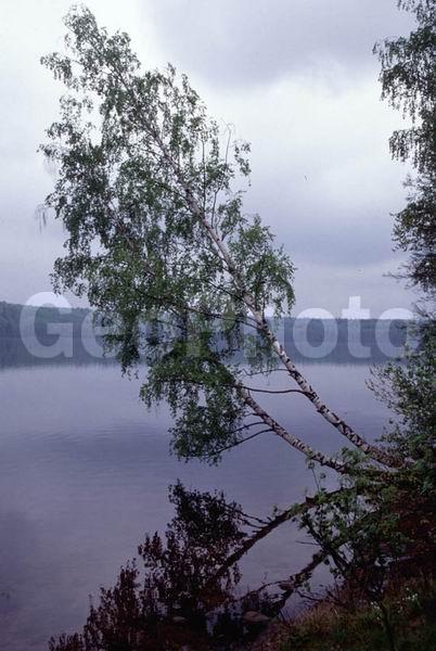 ������, �������� �������, ������, ������, ������ �����, ������, ���, ����, ������, �����, ���������, ����, �������, ������, ���������� �������