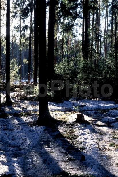 ������, �������� �������, ���������� �������, ���, ����, ���, ����, ��������� ����, �����