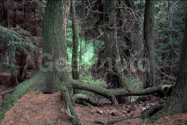 ������, �������� �������, ���������� �������, ���, �����, �����, ���, ����, ����