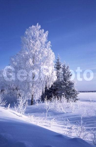 ������, ���������� �������, ������, ����������� ������, ����������� ����, ����, �������� ����, �������� ���������