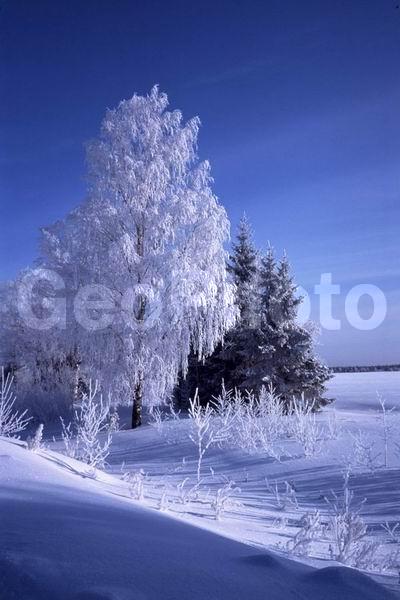 ������, ���������� �������, ������, ����������� ������, ����������� ����, ����, �������� ����, �������� ���������