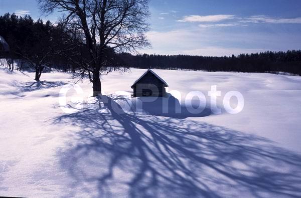 ������, ���������� �������, ����, �������, ������, ����, �������� ����, ��������, ������ ����������� ����, ������� ����, ��������� ����