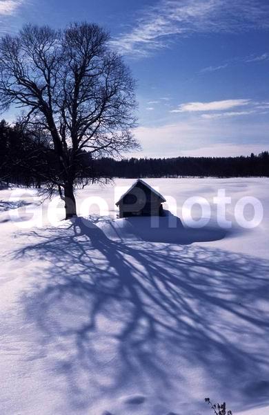 ������, ���������� �������, ����, �������, ������, ����, �������� ����, ��������, ������ ����������� ����, ������� ����, ��������� ����