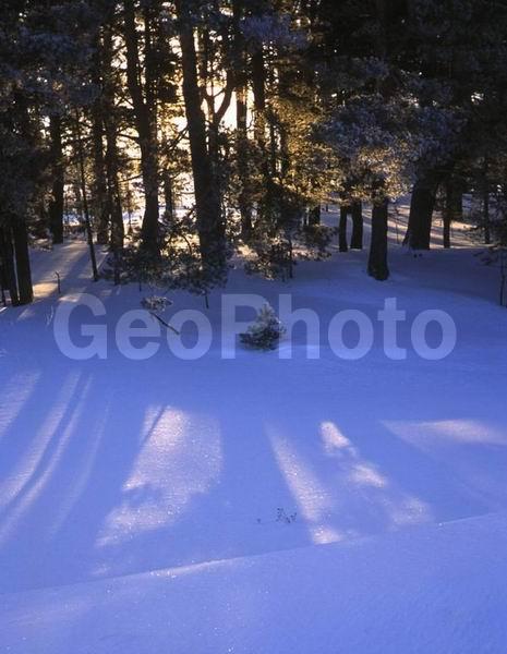 ������, ���������� �������, ������, ����, ���, �������� ����, ��������, ������, ������� ����, ������, �������