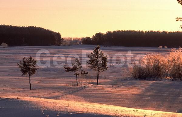 ������, ���������� �������, ����� ���������, ������, ����, ���, �������� ����, ���������� ����, �������, ����, ������� ����, ������, �������