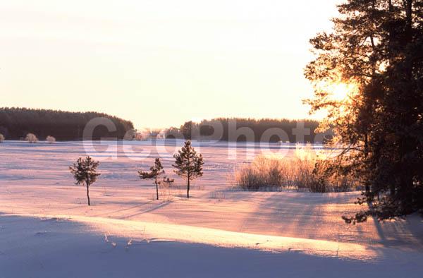 ������, ���������� �������, ����� ���������, ������, ����, ���, �������� ����, ���������� ����, �������, ����, ������� ����, ������, �������