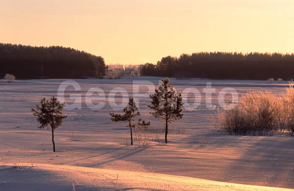 ������, ���������� �������, ����� ���������, ������, ����, ���, �������� ����, ���������� ����, �������, ����, ������� ����, ������, �������